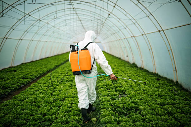 Best Mosquito Control Services  in Bastrop, LA