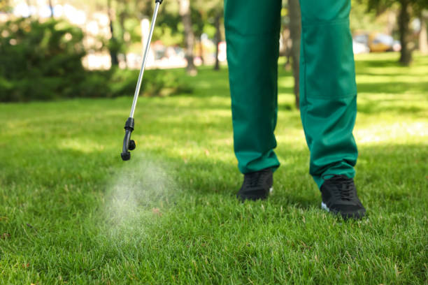 Best Pest Control for Restaurants  in Bastrop, LA