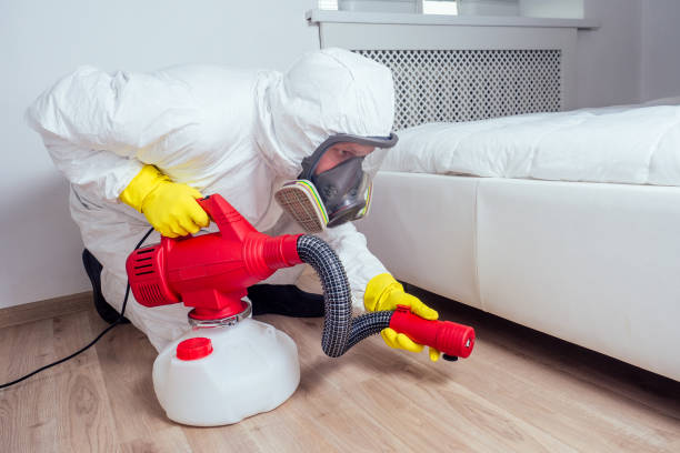 Professional Pest Control in Bastrop, LA