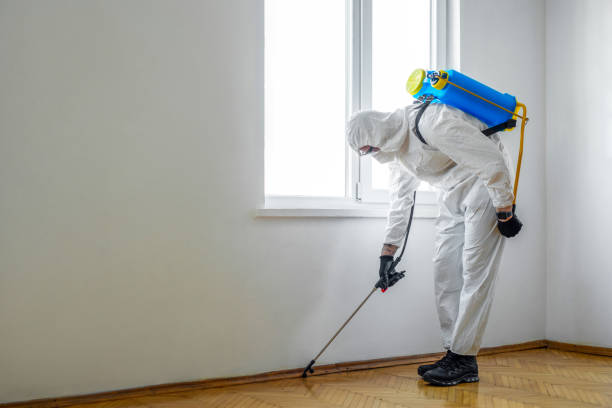 Best Insect Control  in Bastrop, LA