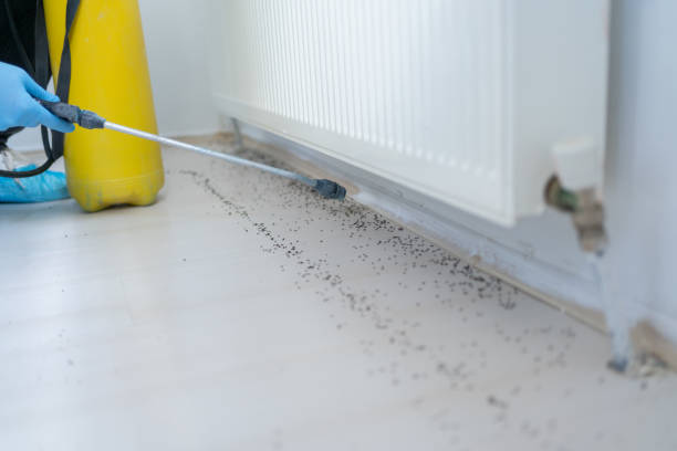 Best Emergency Pest Control  in Bastrop, LA